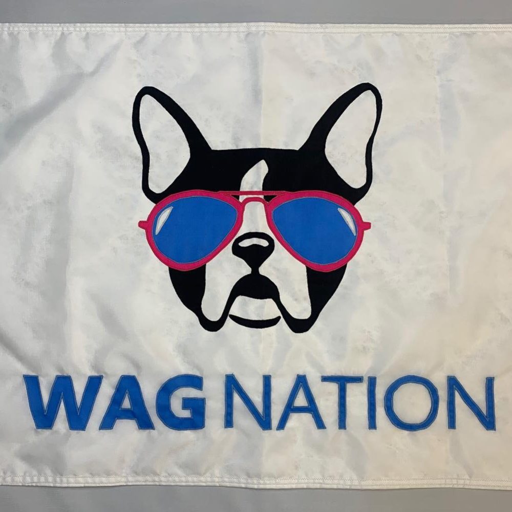 Flag - Wagnation 1